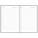 Ежедневник недатированный 