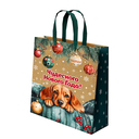 Пакет бумажный подарочный 