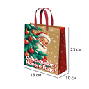 Пакет бумажный подарочный 