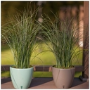 Цветочный горшок 