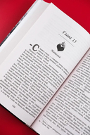 Запрет на любовь — фото, картинка — 6