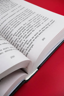 Запрет на любовь — фото, картинка — 7