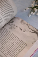 Я вернусь в твой сон — фото, картинка — 8