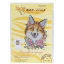 Набор для вышивания на одежде 