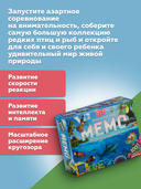 Мемо. Пернатый мир и подводные обитатели — фото, картинка — 2