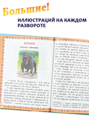 Рассказы и сказки — фото, картинка — 6