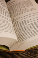 Собрание сочинений. Том 11. 2023-2024 — фото, картинка — 12