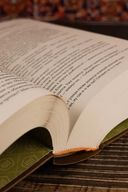 Собрание сочинений. Том 11. 2023-2024 — фото, картинка — 14