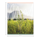 Тетрадь полуобщая в клетку 