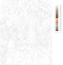 Картина по номерам 