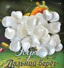 Эверделл. Дальний берег. Забытые клады (дополнение) — фото, картинка — 10