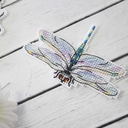 Набор для вышивания на пластиковой канве 