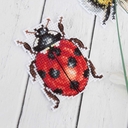 Набор для вышивания на пластиковой канве 