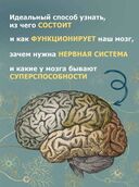 Мозг человека. Объясняет доктор Сантьяго Рамон-и-Кахаль — фото, картинка — 3