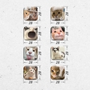 Набор 3D наклеек 