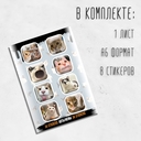 Набор 3D наклеек 