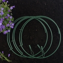 Набор колец для растений (3 шт.) — фото, картинка — 2