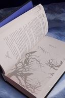 Сказ о Владе-вороне — фото, картинка — 6