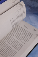 Сказ о Владе-вороне — фото, картинка — 7