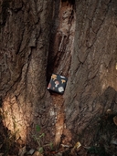 Бумага упаковочная 