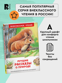 Лучшие рассказы о природе — фото, картинка — 3