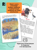 Лучшие рассказы о природе — фото, картинка — 4