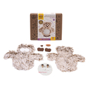 Набор для валяния из шерсти 