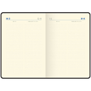 Ежедневник недатированный 