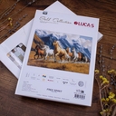 Набор для вышивания 