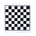 Шашки — фото, картинка — 3