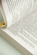 Вечный зов. Том 1 — фото, картинка — 3