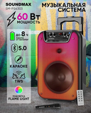Портативная акустическая колонка SoundMax SM-PS4303 — фото, картинка — 7