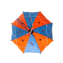 Сборная деревянная модель 