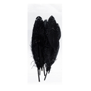 Перо декоративное обработанное 