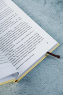 Вокруг света в 80 дней — фото, картинка — 5