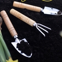 Набор садовых инструментов (3 предмета) — фото, картинка — 2