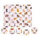 Шурум-Бурум. Найди половинку (кошки, собаки) — фото, картинка — 5