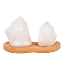 Набор для специй 