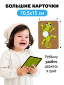 Развивающие карточки Домана для развития речи. Для занятий с детьми. Животные — фото, картинка — 5