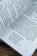 Хроника времен Карла IX — фото, картинка — 3