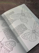 Бабочки и другие насекомые. Атлас-раскраска — фото, картинка — 3