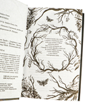 Глициния — фото, картинка — 4