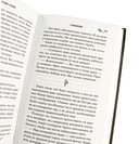 Глициния — фото, картинка — 7