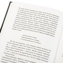 Мэфіста. Раман аб адной кар'еры — фото, картинка — 3