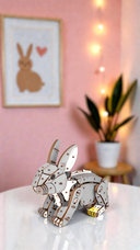 Сборная деревянная модель 