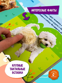 Мои питомцы — фото, картинка — 2