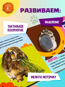 Мои питомцы — фото, картинка — 3