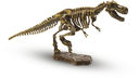 Набор палеонтолога 