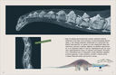 Динозавры, на рентген! — фото, картинка — 1