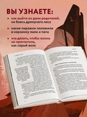 Все дороги ведут к себе. Путешествие за женской силой и мудростью — фото, картинка — 3